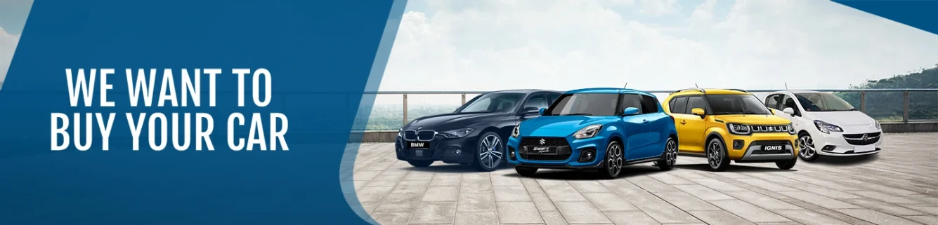 We Want Your Car Webpage and Remarketing