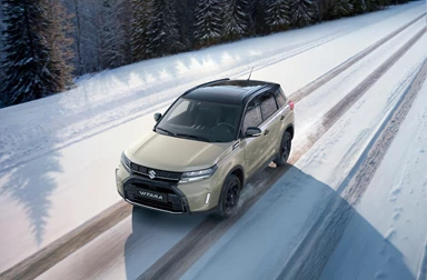 vitara